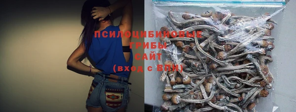 гашиш Богородицк