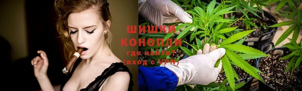 молекула духа Богородск