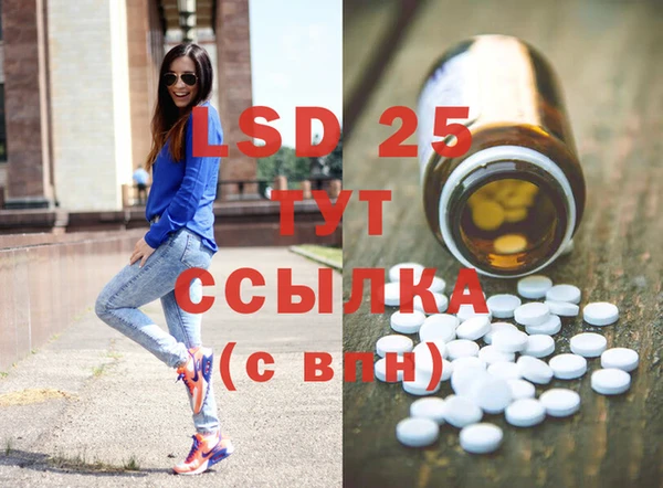 spice Богданович