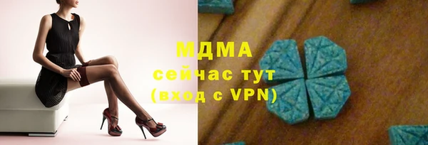 spice Богданович