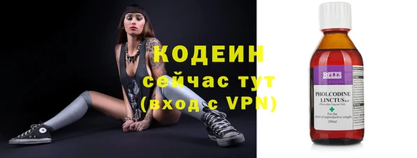 spice Богданович