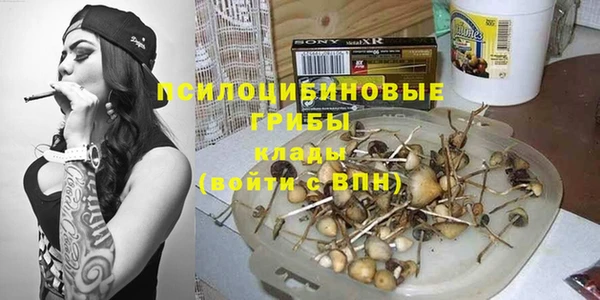 молекула духа Богородск