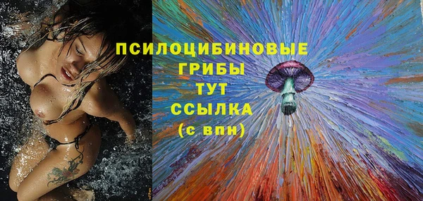 гашиш Богородицк