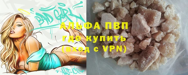 spice Богданович