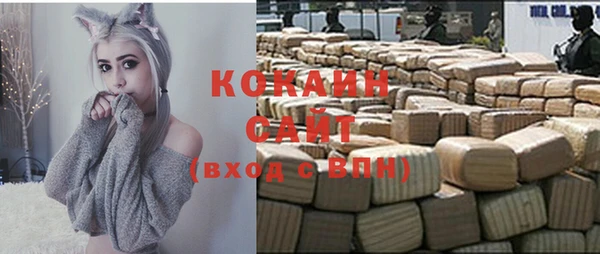 молекула духа Богородск