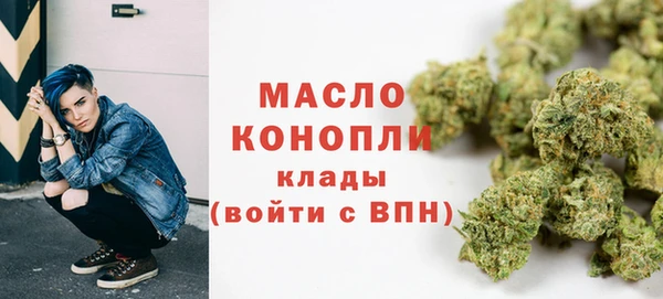 молекула духа Богородск